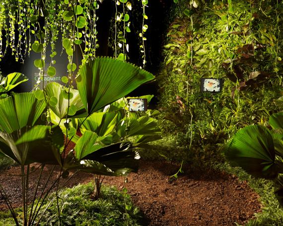 Designers’ Saturday 2010 jungle installation with palms and vertical garden by Creaplant video installation by Susi Jirkuff