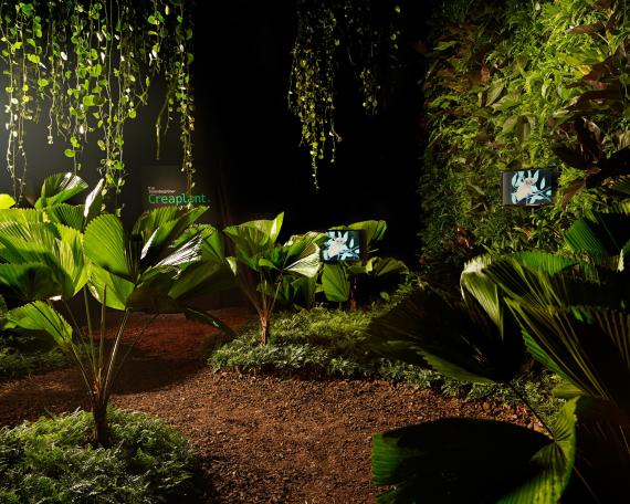 Designers’ Saturday 2010 jungle installation with palms and vertical garden by Creaplant video installation by Susi Jirkuff