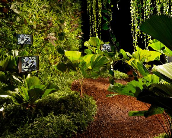Designers’ Saturday 2010 jungle installation with palms and vertical garden by Creaplant video installation by Susi Jirkuff
