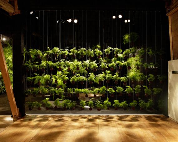 Designers’ Saturday 2012 Pflanzenvorhang aus Kokedama Mooskugeln übereinander an Schnüren aufgehängt 