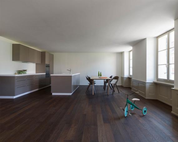 Altstadthaus Aarau mit Wohnzimmer und Küche