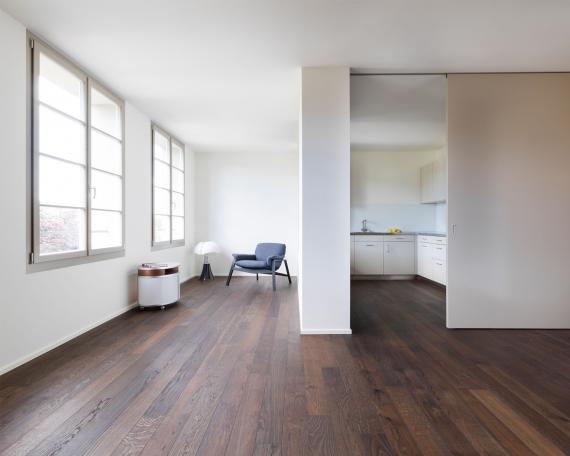 Townhouse Aarau kitchen and living room