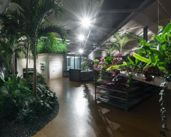 Designers’ Saturday 2016 view from the potting bench to the plant laboratory at Création Baumann