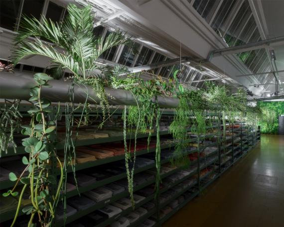Designers’ Saturday 2016 Detail Pendularis indoor floating garden bei Création Baumann