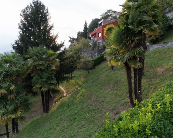 Conversion of holiday home Casa Sogno Mio, Locarno Painted in KEIM oxide red and with new dormer on a stone base, surrounded by palms 