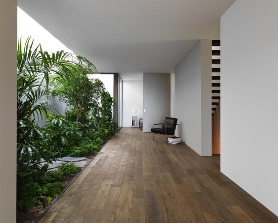 The indoor garden by Creaplant forms the heart of the house and runs alongside the wide passageway