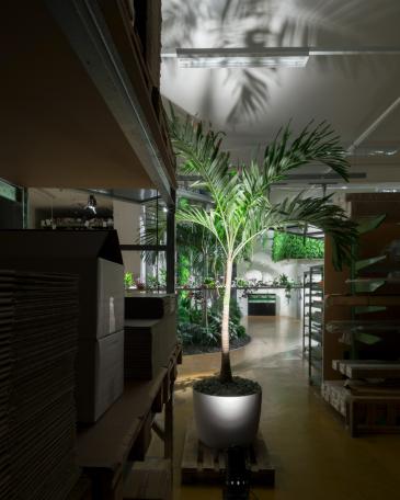 Designers’ Saturday 2016 Palme im Faserzementtopf vor Pendularis und Palmengarten
