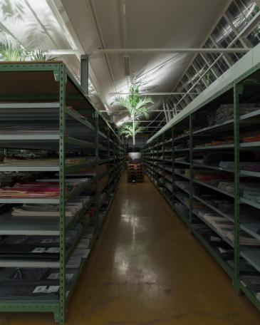 Designers’ Saturday 2016 palm tree in fibre cement planter from Eternit Palme in the sample storage room of Création Baumann 