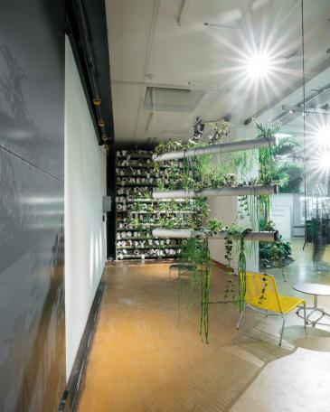 Designers’ Saturday 2016 Pendularis Installation in der Lounge bei Création Baumann