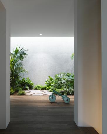 Indoor garden by Creaplant with a backdrop of sandblasted concrete wall, illuminated by a skylight 