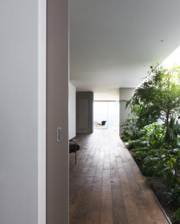 Indoor garden by Creaplant running alongside the wide passageway that leads to the living room 